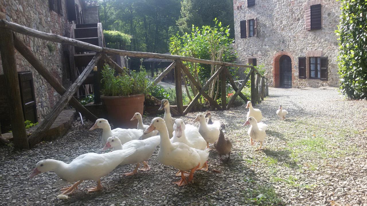Agriturismo Il Mulino Delle Pile Chiusdino Exterior foto